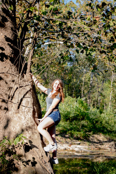 Enlarge photo 215