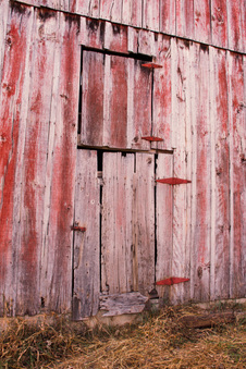 Enlarge photo 74