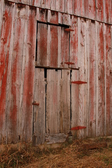 Enlarge photo 75