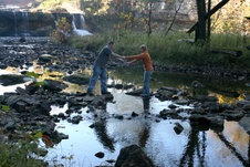 Enlarge photo 33