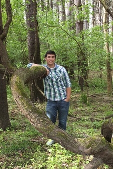 Enlarge photo 40