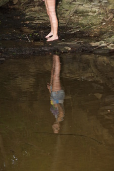 Enlarge photo 435