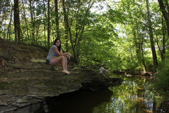 Enlarge photo 492