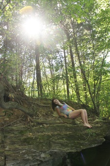 Enlarge photo 494