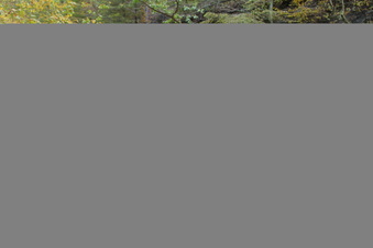 Enlarge photo 33