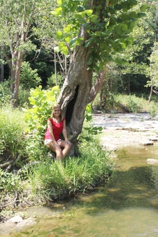 Enlarge photo 43