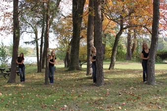 Enlarge photo 532