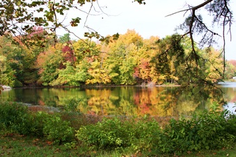 Enlarge photo 533