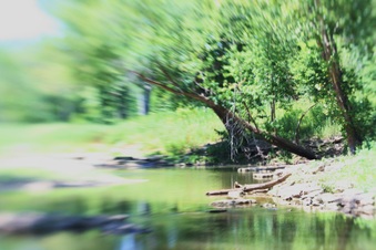 Enlarge photo 1002