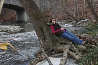 Enlarge photo 102