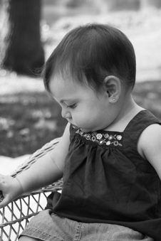 Enlarge photo 26