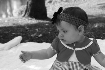 Enlarge photo 131