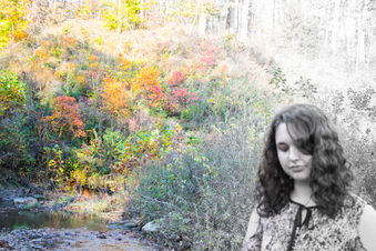 Enlarge photo 72