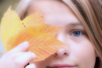 Enlarge photo 177