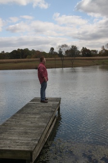 Enlarge photo 168