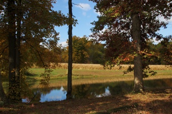 Enlarge photo 96