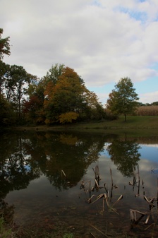 Enlarge photo 79