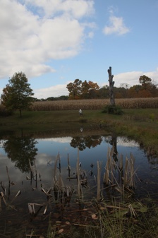 Enlarge photo 78
