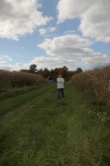 Enlarge photo 52