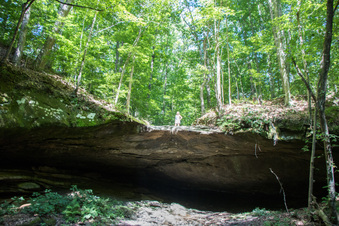 Enlarge photo 102