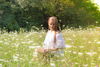 Enlarge photo 154
