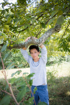Enlarge photo 73