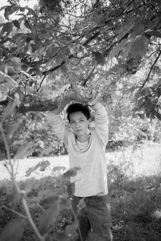 Enlarge photo 74