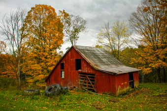 Enlarge photo 2