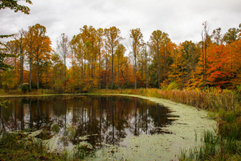 Enlarge photo 75