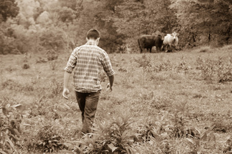 Enlarge photo 118