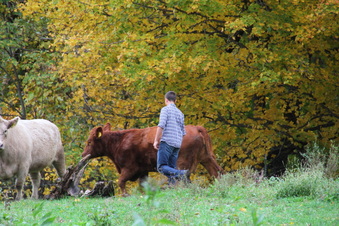 Enlarge photo 124