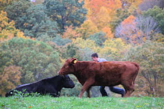 Enlarge photo 128