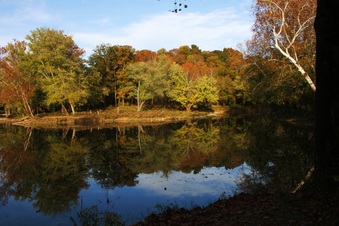 Enlarge photo 221