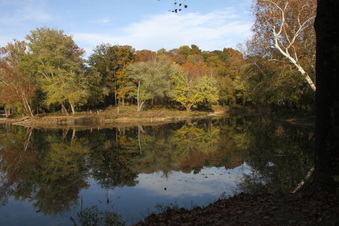 Enlarge photo 222