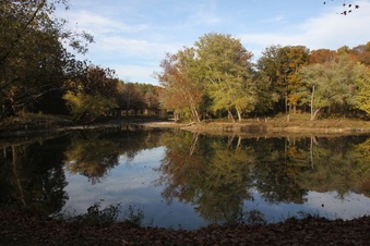 Enlarge photo 223