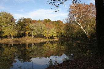 Enlarge photo 224