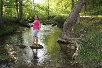 Enlarge photo 41