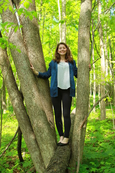 Enlarge photo 61