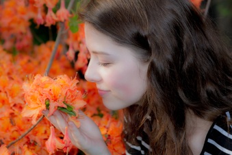 Enlarge photo 248