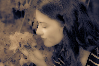 Enlarge photo 249