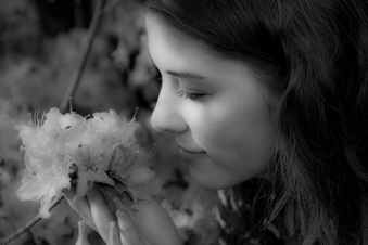 Enlarge photo 251