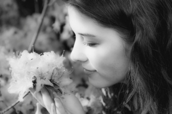 Enlarge photo 253