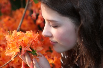 Enlarge photo 254