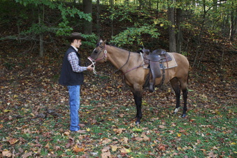 Enlarge photo 22