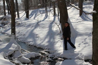 Enlarge photo 25