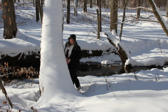 Enlarge photo 32