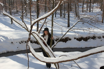 Enlarge photo 35