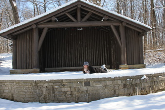 Enlarge photo 59