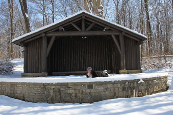 Enlarge photo 60