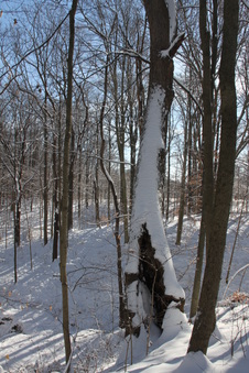 Enlarge photo 80